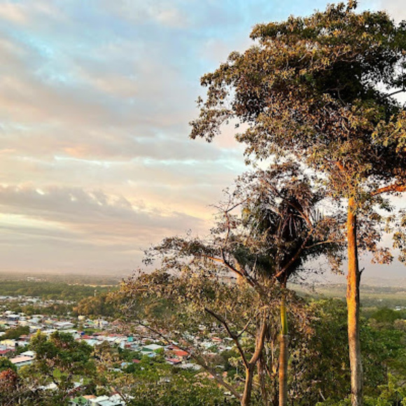 Meet your Posher, Josie - Picture 1 of 1